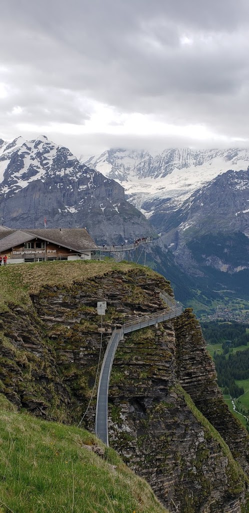 Swiss-Alps.jpg